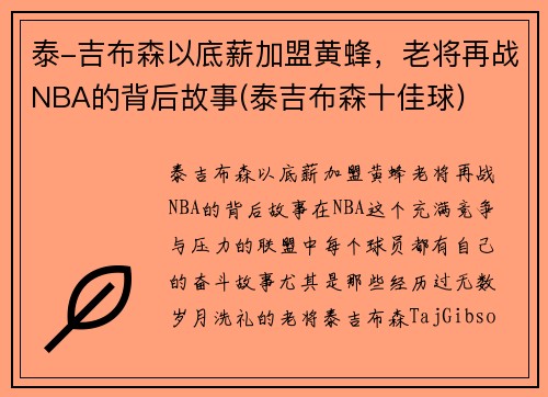 泰-吉布森以底薪加盟黄蜂，老将再战NBA的背后故事(泰吉布森十佳球)