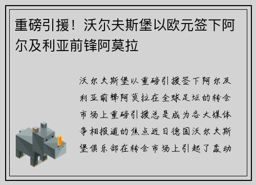 重磅引援！沃尔夫斯堡以欧元签下阿尔及利亚前锋阿莫拉