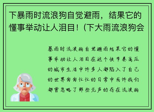 下暴雨时流浪狗自觉避雨，结果它的懂事举动让人泪目！(下大雨流浪狗会在哪躲雨)