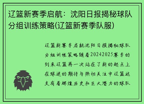 辽篮新赛季启航：沈阳日报揭秘球队分组训练策略(辽篮新赛季队服)