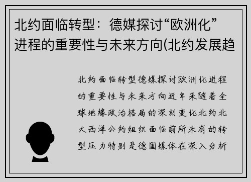 北约面临转型：德媒探讨“欧洲化”进程的重要性与未来方向(北约发展趋势)