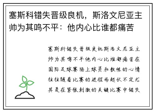 塞斯科错失晋级良机，斯洛文尼亚主帅为其鸣不平：他内心比谁都痛苦