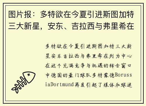 图片报：多特欲在今夏引进斯图加特三大新星，安东、吉拉西与弗里希在列
