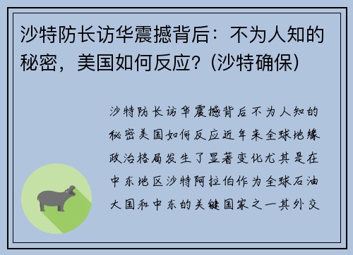 沙特防长访华震撼背后：不为人知的秘密，美国如何反应？(沙特确保)
