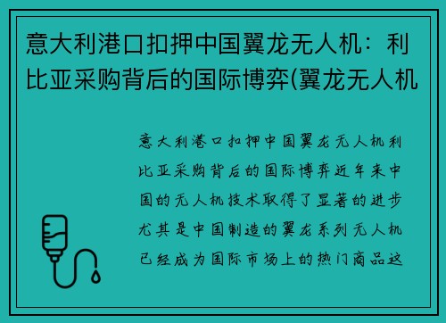 意大利港口扣押中国翼龙无人机：利比亚采购背后的国际博弈(翼龙无人机国外实战)